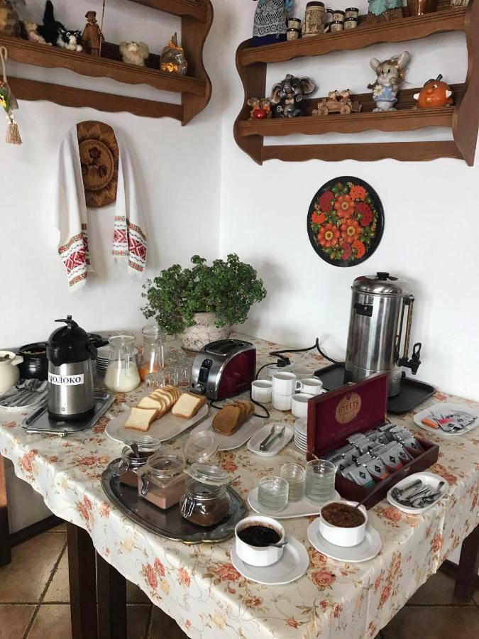Alpenhof Pansion Hotel Slavske Bagian luar foto